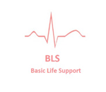 Basic Life Support Basic Life Support